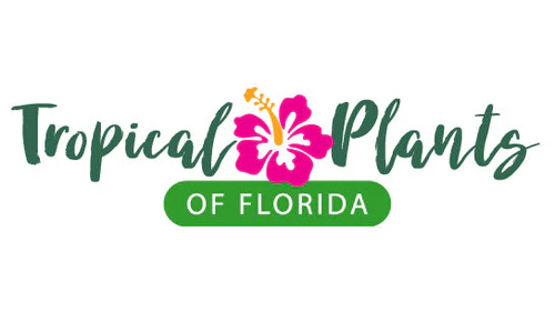 Tropical Plants